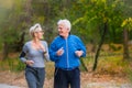 Smiling senior couple jogging in the park Royalty Free Stock Photo