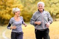 Smiling senior couple jogging in the park Royalty Free Stock Photo