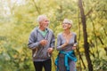 Smiling senior couple jogging in the park Royalty Free Stock Photo