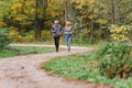 Smiling senior couple jogging in the park Royalty Free Stock Photo