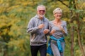 Smiling senior couple jogging in the park Royalty Free Stock Photo