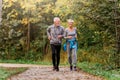 Smiling senior couple jogging in the park Royalty Free Stock Photo