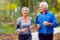 Smiling senior couple jogging in the park Royalty Free Stock Photo