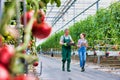 Senior farmer carrying newly harvest tomatoes while talking to young female supervisor at greenhouse