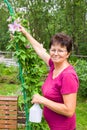 Smiling senior female gardener taking care of plants in summer garden, spraying a plant with pure water from a bottle Royalty Free Stock Photo