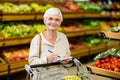 Smiling senior woman checking list Royalty Free Stock Photo