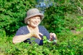 Smiling senior woman cutting hedge Royalty Free Stock Photo