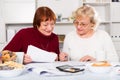 Smiling senior women with documentation Royalty Free Stock Photo