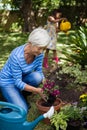 Smiling senior woman planting flowers while girl watering plants Royalty Free Stock Photo