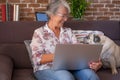 Smiling senior woman sitting on sofa at home using laptop computer looking at her old pug dog Royalty Free Stock Photo