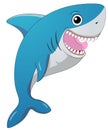 Smiling shark Royalty Free Stock Photo