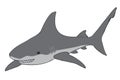 Grey shark isolated on a white background