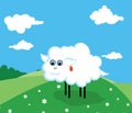 Smiling sheep