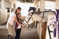 Smiling sisters feeding horse Royalty Free Stock Photo