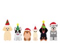 Smiling small dogs with Christmas party hat