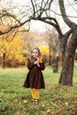 A smiling small girl playing with leaves in fall park. little girl in dress with golden fall leaves in hand walking fall forest. Royalty Free Stock Photo