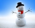 Smiling snowman Royalty Free Stock Photo