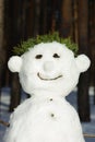 The smiling snowman