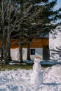 Smiling snowman stands in the yard of a wooden cottage