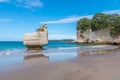 Smiling Sphinx rock at Coromandel peninsula in New Zealand