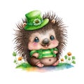 Smiling St. Patrick\'s baby porcupine in a green leprechaun hat with spring flowers. Watercolor cartoon.