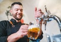 Smiling stylish bearded barman dressed black uniform with an apron tapping fresh lager beer into pilsner glass mug at bar counter Royalty Free Stock Photo