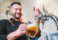 Smiling stylish bearded barman dressed black uniform with an apron tapping fresh lager beer into pilsner glass mug at bar counter