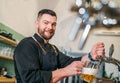 Smiling stylish bearded barman dressed uniform with apron gazing at camera while tapping fresh lager beer glass mug at bar counter Royalty Free Stock Photo