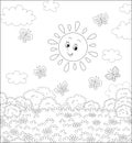 Smiling sun and butterflies over a field