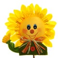 Smiling sunflower Royalty Free Stock Photo