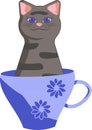 Smiling tabby gray cat with blue eyes in tea cup