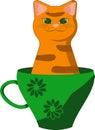 Smiling tabby red cat with green eyes in tea cup