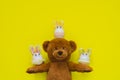 Smiling teddy bear with bunny eggs on arms and head with yellow background