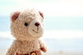 Smiling teddy bear doll on the beach