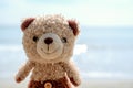 Smiling teddy bear doll on the beach