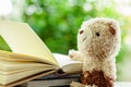 Smiling teddy bear doll with stack of opened books