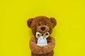 Smiling teddy bear holding bunny egg on yellow background