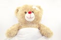 Smiling teddy bear is sicking Royalty Free Stock Photo