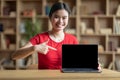 Smiling teen korean lady point finger at computer with blank screen for study in room interior
