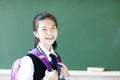 Smiling teenager student girl in classroom