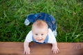 Smiling toddler boy, playing with toys on blooming spring garden Royalty Free Stock Photo