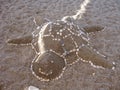smiling turtle sand