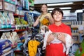 Smiling tweenager boy embracing his puppy during family shopping in pet accessories shop Royalty Free Stock Photo