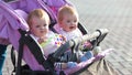 Smiling twin girls in baby carriage with bright toys