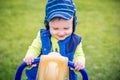 Smiling two years boy portrait Royalty Free Stock Photo