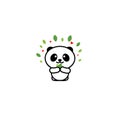 Smiling vector logo. Illustration of animal. Chinese bear with bamboo logotype. Cute picture