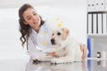 Smiling vet and dog with a cone Royalty Free Stock Photo