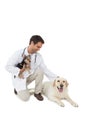 Smiling vet posing with yorkshire terrier and yellow labrador Royalty Free Stock Photo