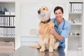Smiling veterinarian examining a cute dog Royalty Free Stock Photo