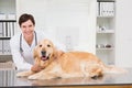 Smiling veterinarian examining a cute dog